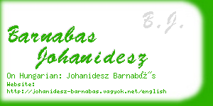 barnabas johanidesz business card